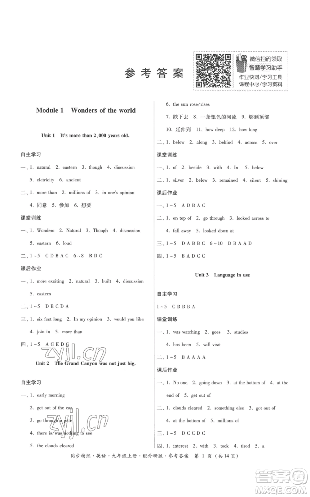 廣東人民出版社2022同步精練九年級上冊英語外研版參考答案