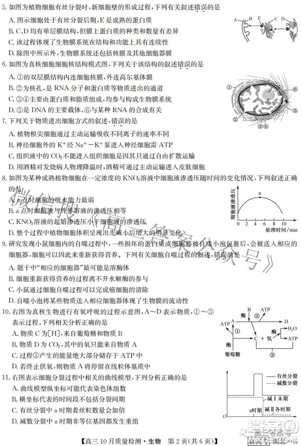 2023屆九師聯(lián)盟新高考高三10月質(zhì)量檢測(cè)鞏固卷生物試題及答案