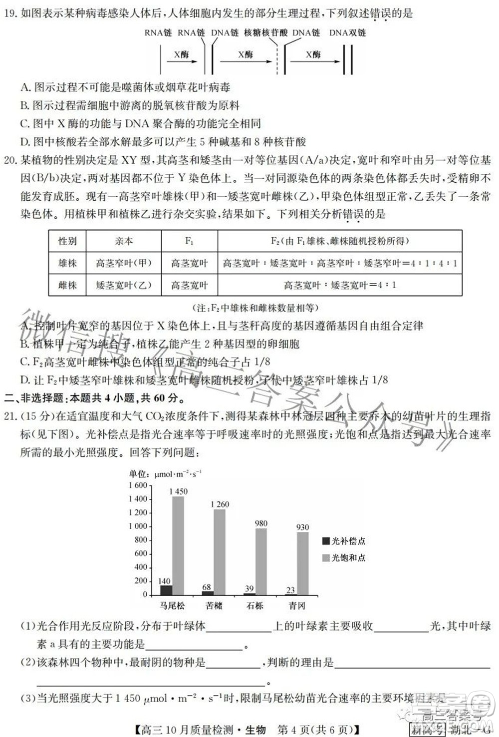 2023屆九師聯(lián)盟新高考高三10月質(zhì)量檢測(cè)鞏固卷生物試題及答案