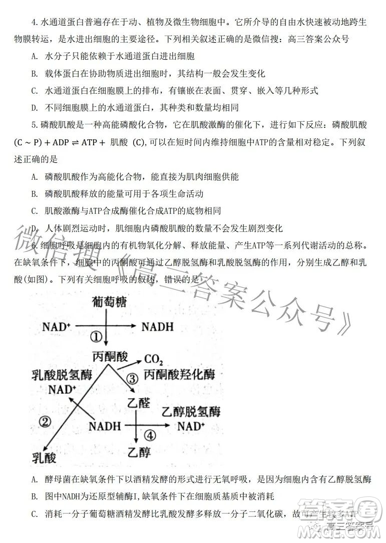 河北省2023屆高三年級(jí)大數(shù)據(jù)應(yīng)用調(diào)研聯(lián)合測(cè)評(píng)生物試題及答案