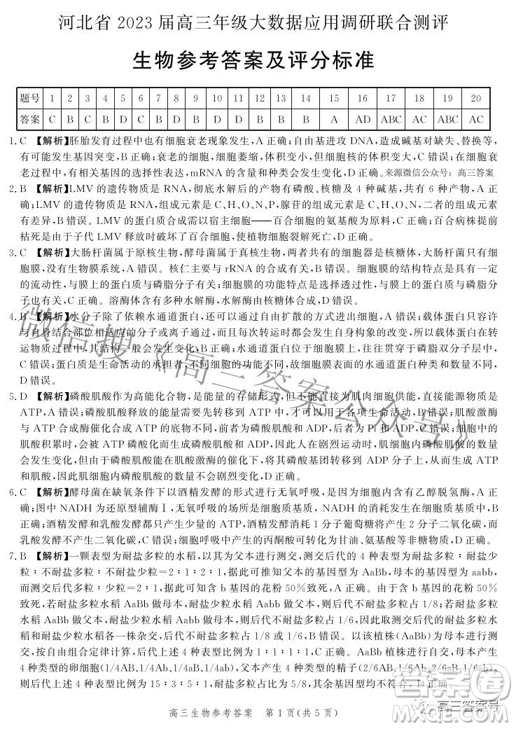 河北省2023屆高三年級(jí)大數(shù)據(jù)應(yīng)用調(diào)研聯(lián)合測(cè)評(píng)生物試題及答案