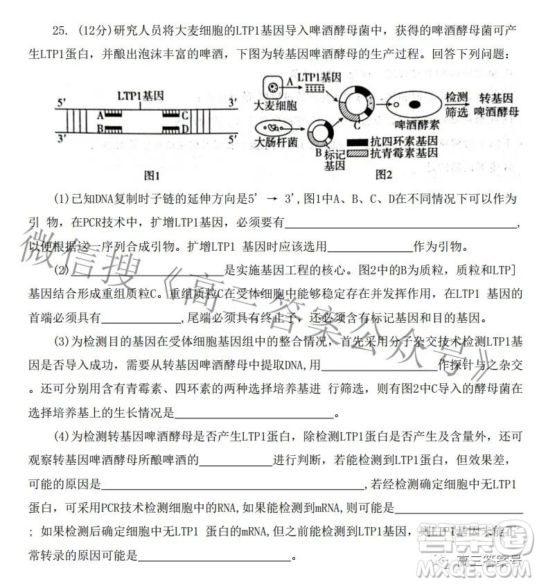 河北省2023屆高三年級(jí)大數(shù)據(jù)應(yīng)用調(diào)研聯(lián)合測(cè)評(píng)生物試題及答案