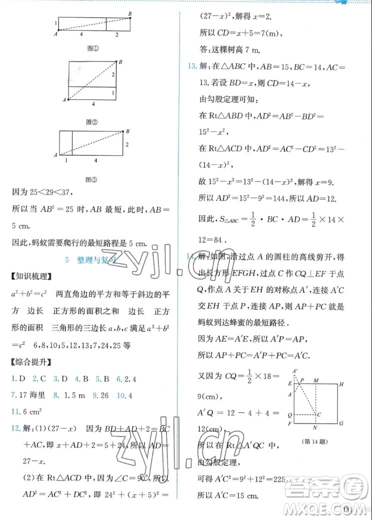 北京師范大學(xué)出版社2022秋課堂精練數(shù)學(xué)八年級上冊北師大版答案