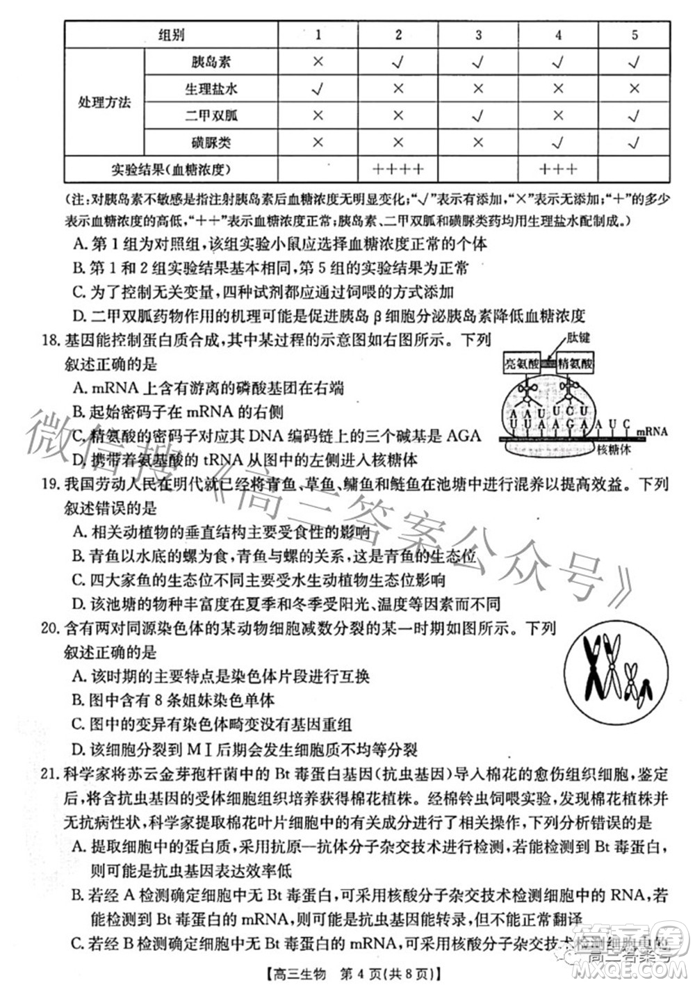 2022-2023學(xué)年高三浙里卷天下10月測(cè)試生物試題及答案