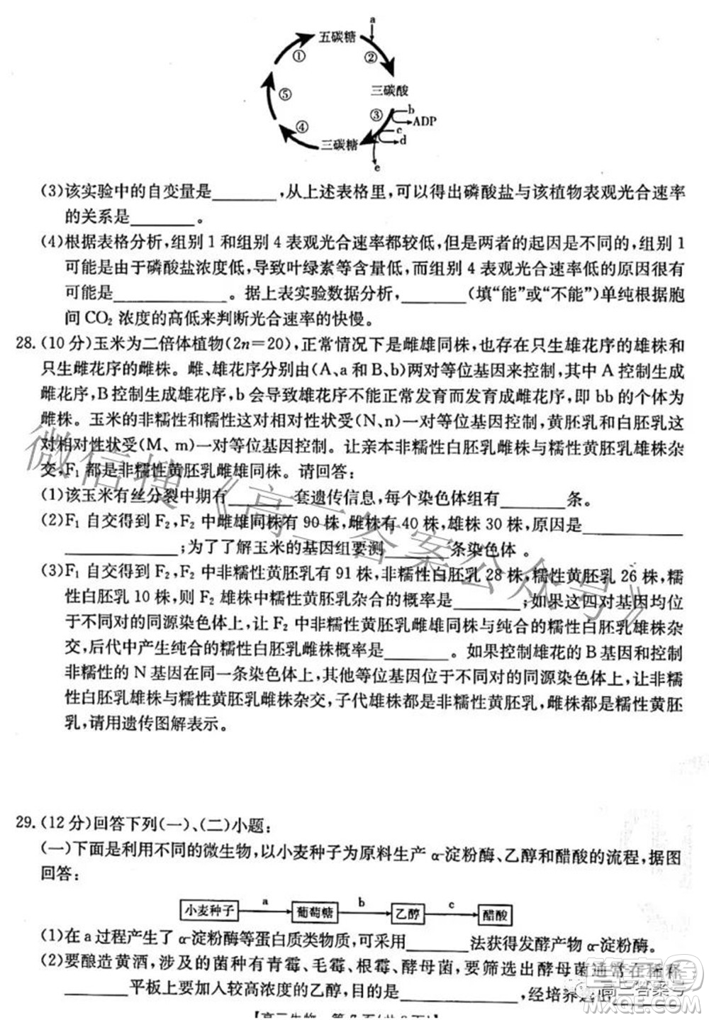 2022-2023學(xué)年高三浙里卷天下10月測(cè)試生物試題及答案