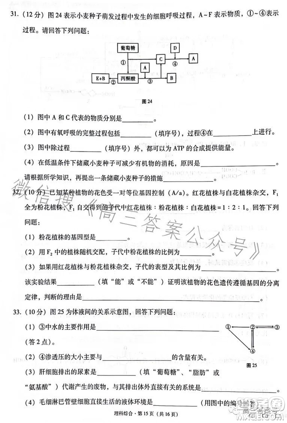 云南師大附中2023屆高考適應(yīng)性月考卷四理科綜合試題及答案