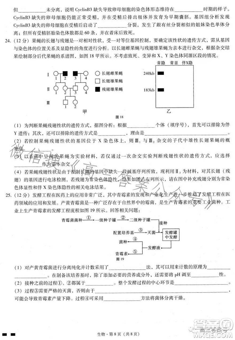 巴蜀中學(xué)2023屆高考適應(yīng)性月考卷三生物試題及答案