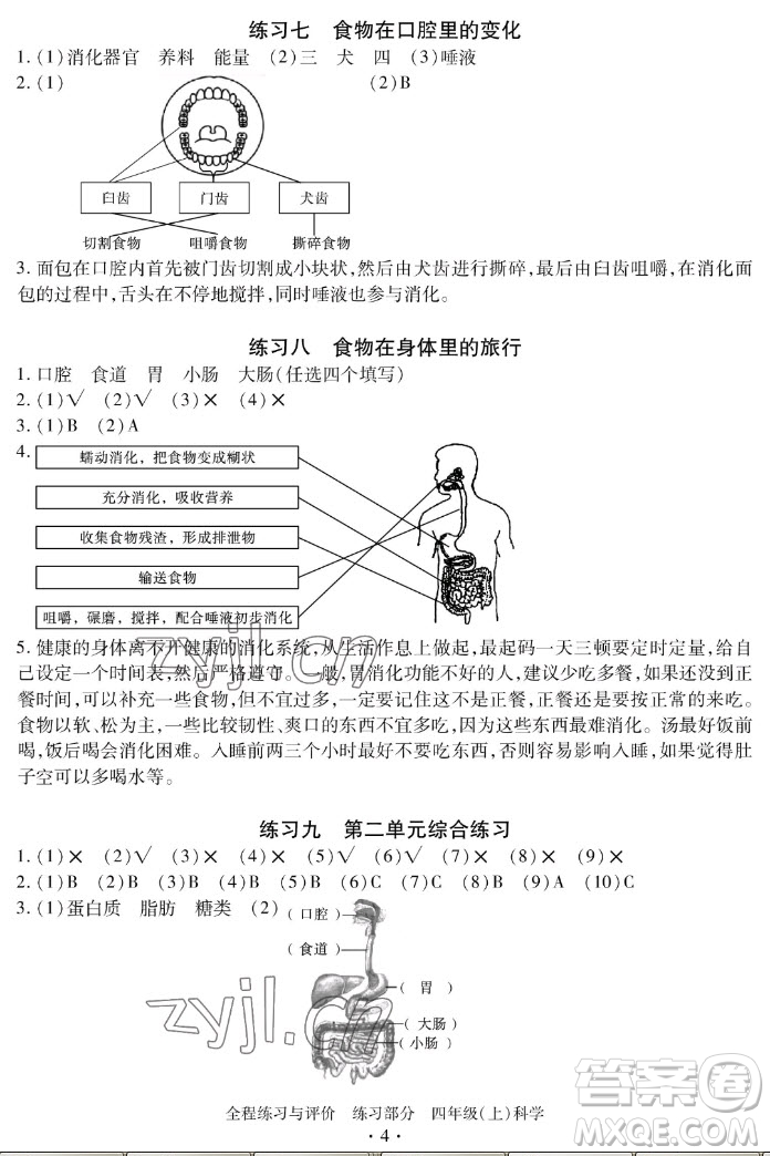 浙江人民出版社2022秋全程練習(xí)與評(píng)價(jià)四年級(jí)上冊(cè)科學(xué)教科版答案