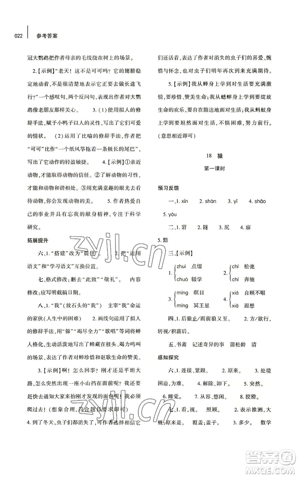 大象出版社2022基礎訓練七年級上冊語文人教版參考答案