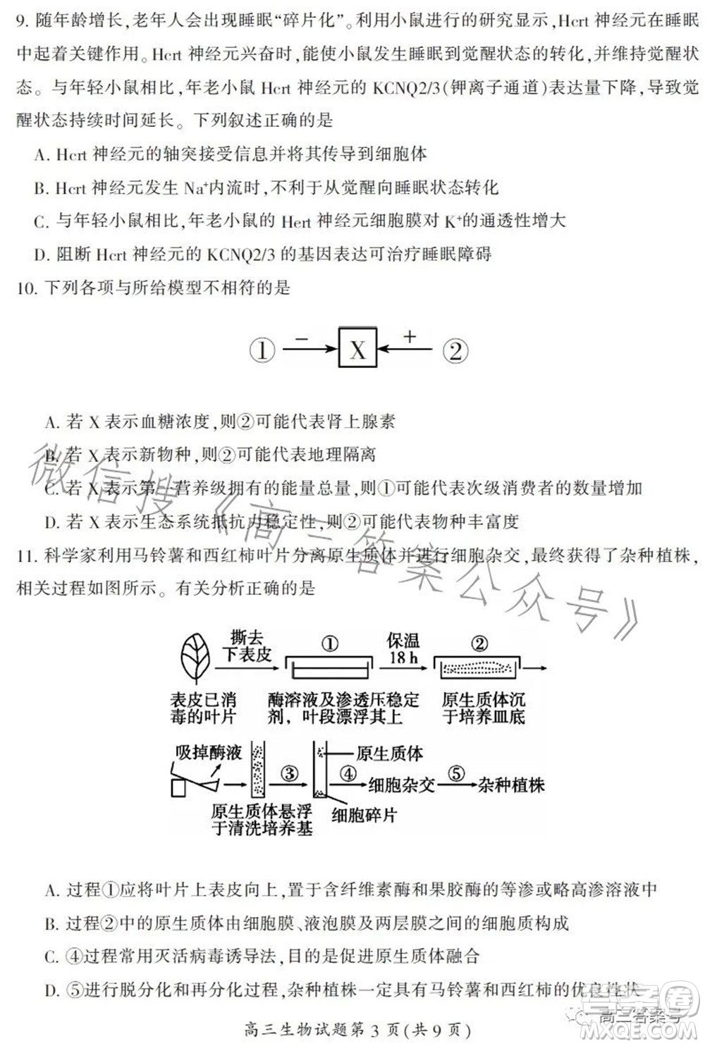 郴州市2023屆高三第一次教學質(zhì)量監(jiān)測試卷生物試題及答案