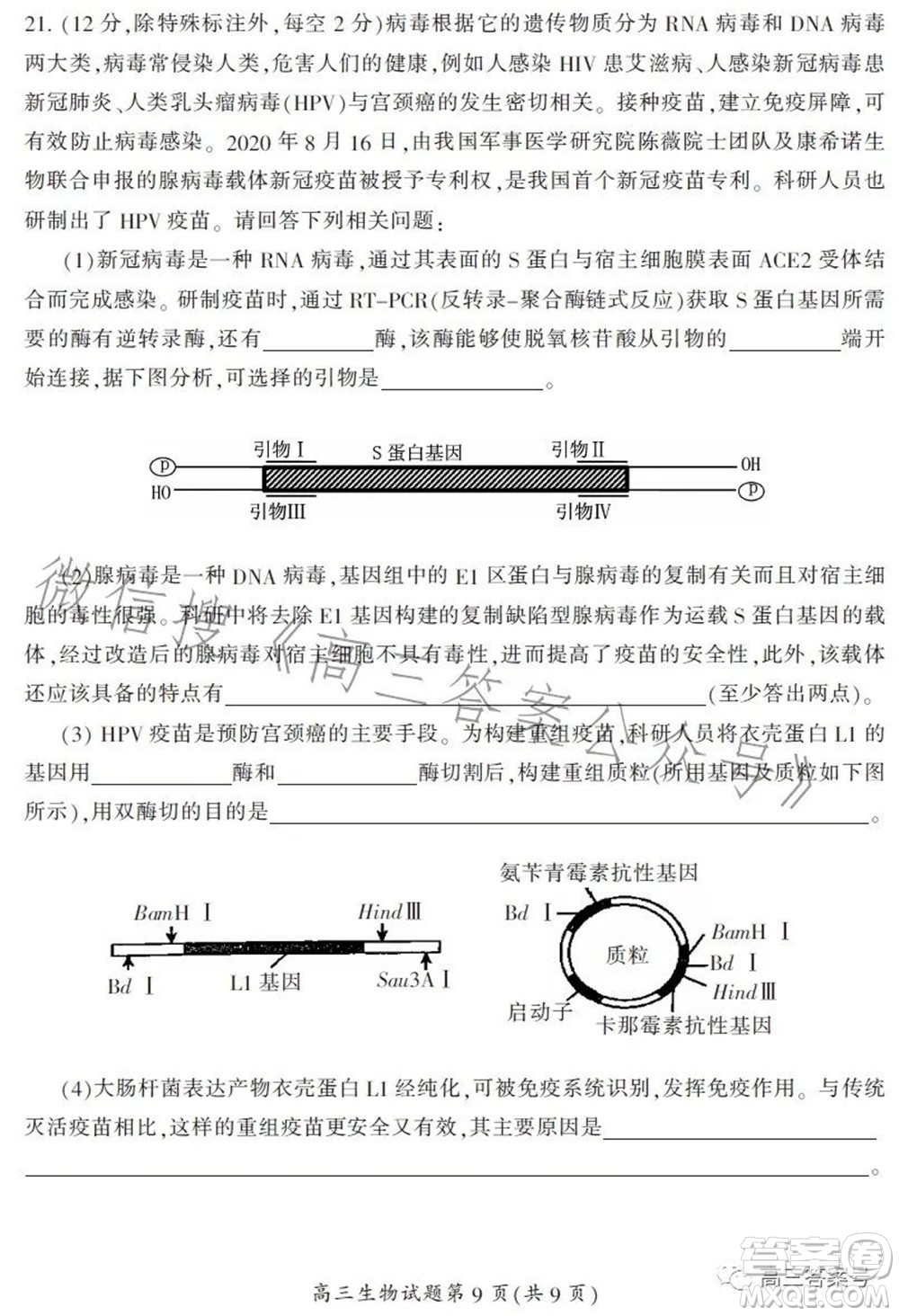 郴州市2023屆高三第一次教學質(zhì)量監(jiān)測試卷生物試題及答案