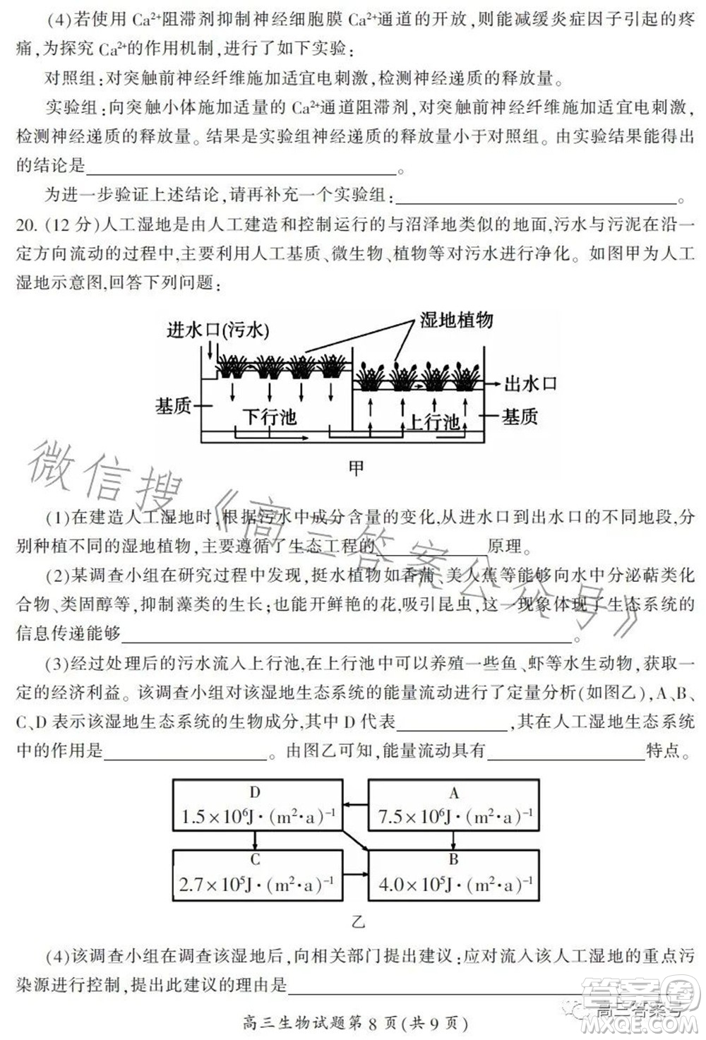 郴州市2023屆高三第一次教學質(zhì)量監(jiān)測試卷生物試題及答案