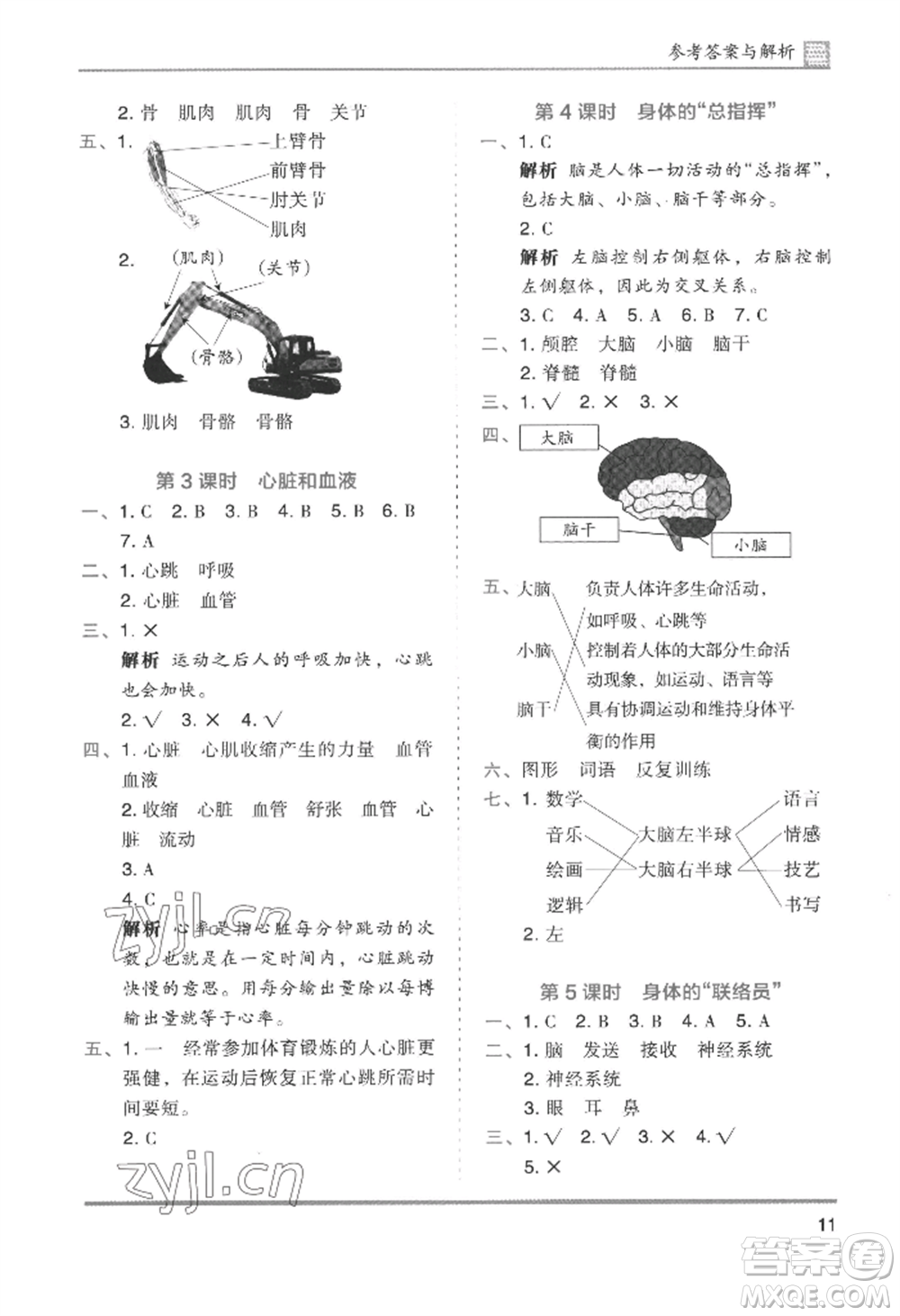 湖南師范大學出版社2022木頭馬分層課課練五年級上冊科學教科版參考答案