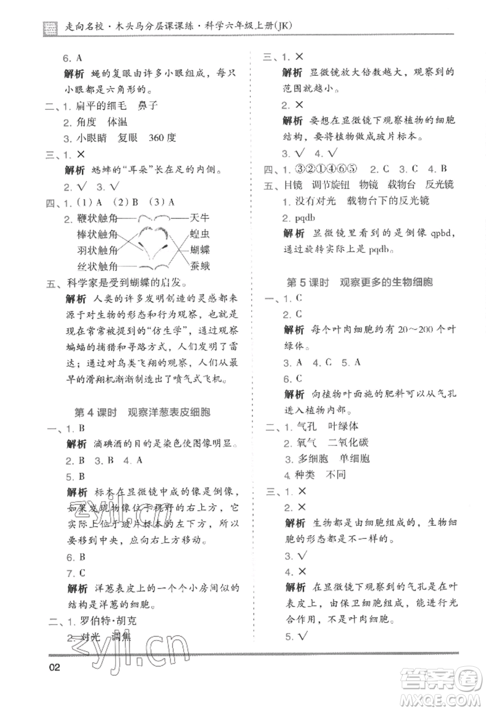 湖南師范大學(xué)出版社2022木頭馬分層課課練六年級(jí)上冊(cè)科學(xué)教科版參考答案