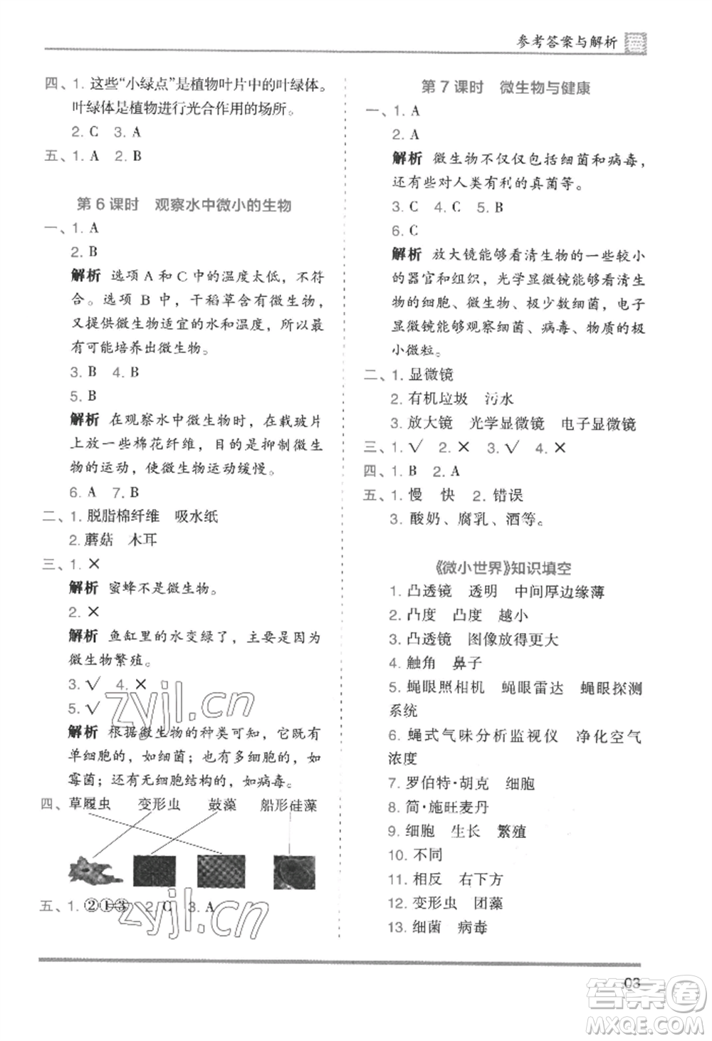 湖南師范大學(xué)出版社2022木頭馬分層課課練六年級(jí)上冊(cè)科學(xué)教科版參考答案