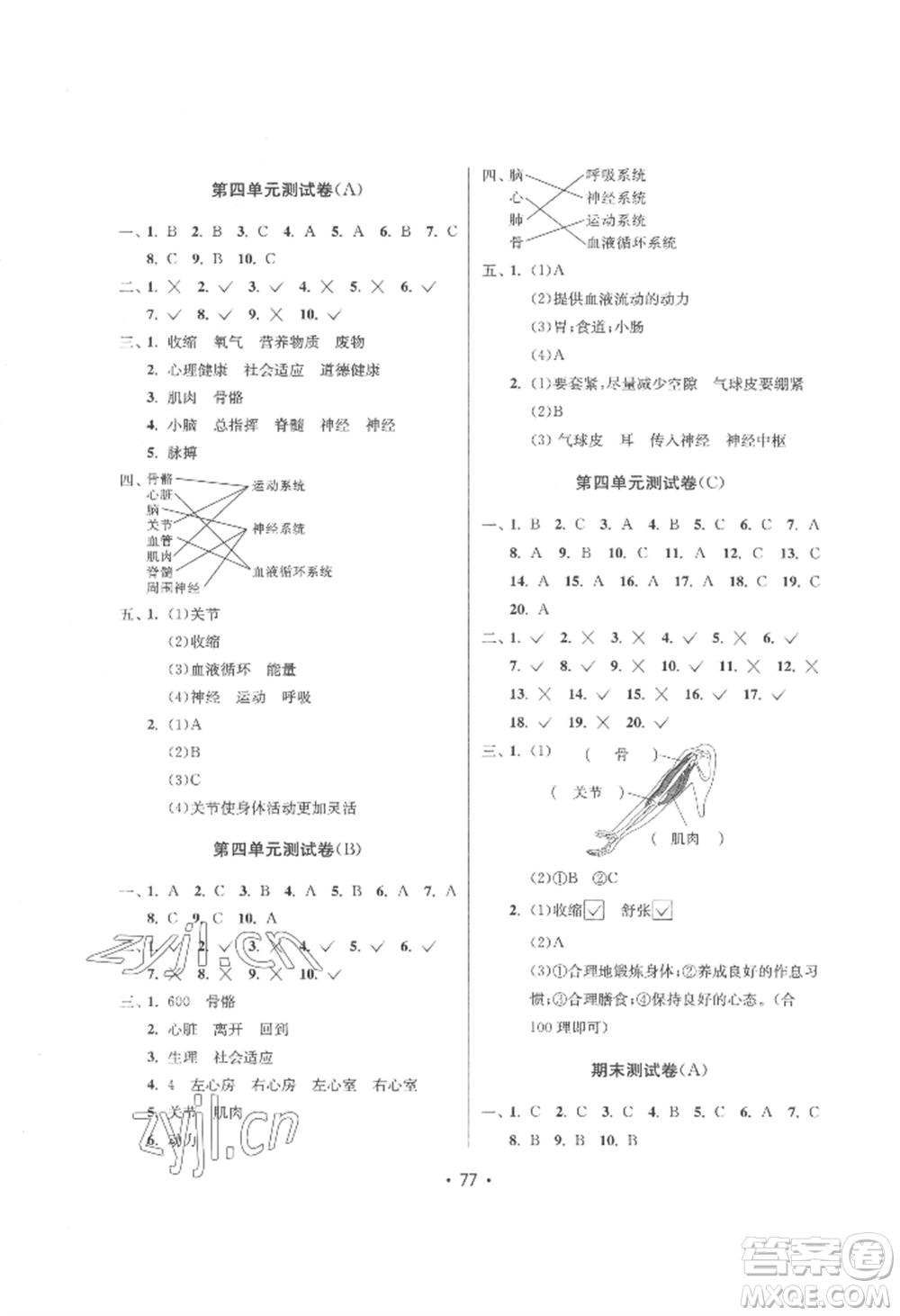 延邊教育出版社2022智慧課堂課時檢測五年級上冊科學教科版參考答案