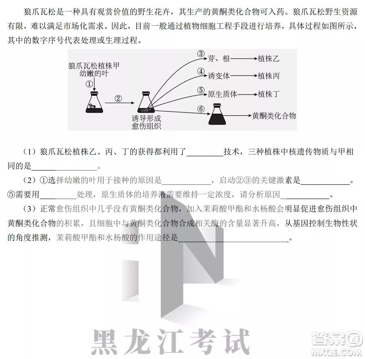 銀川一中2023屆高三年級第二次月考理科綜合試卷答案