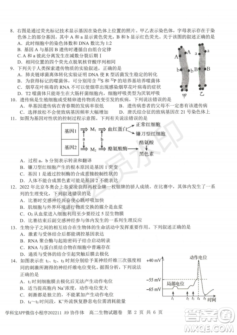 浙江省A9協(xié)作體2022學(xué)年第一學(xué)期期中聯(lián)考高二生物試題答案