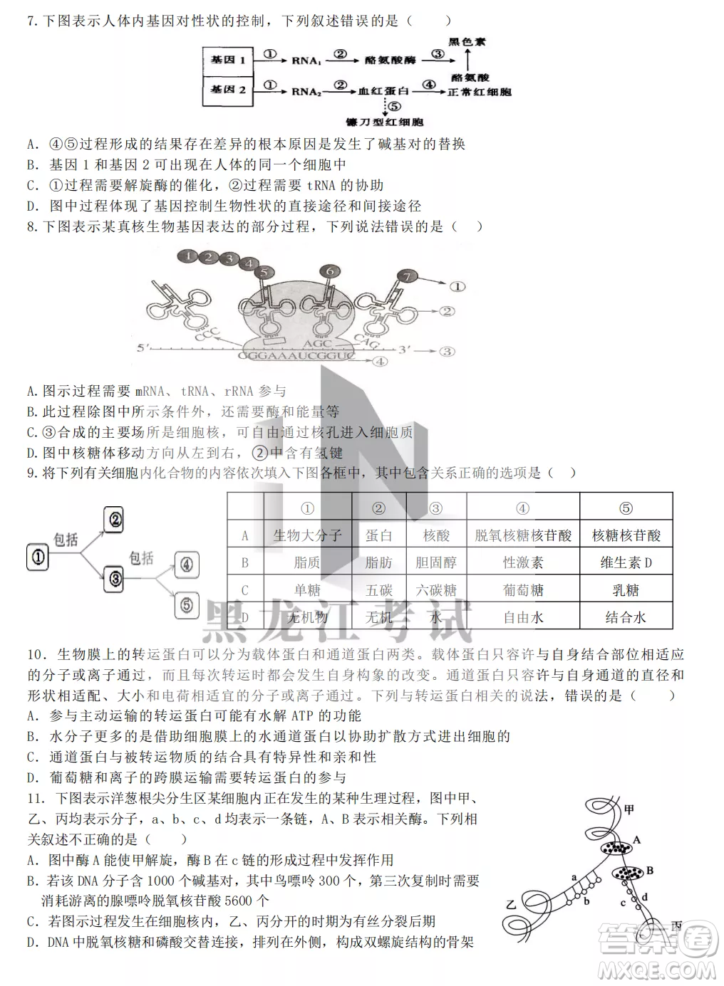 齊齊哈爾市實驗中學(xué)2022-2023學(xué)年度第一學(xué)期高二期中考試生物試題及答案