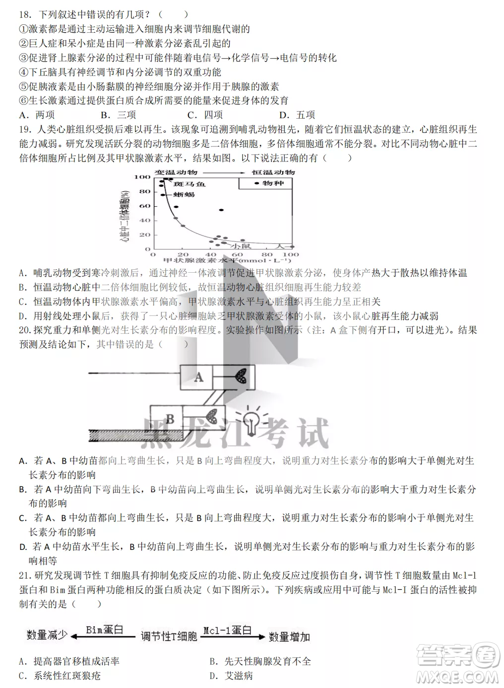 齊齊哈爾市實驗中學(xué)2022-2023學(xué)年度第一學(xué)期高二期中考試生物試題及答案