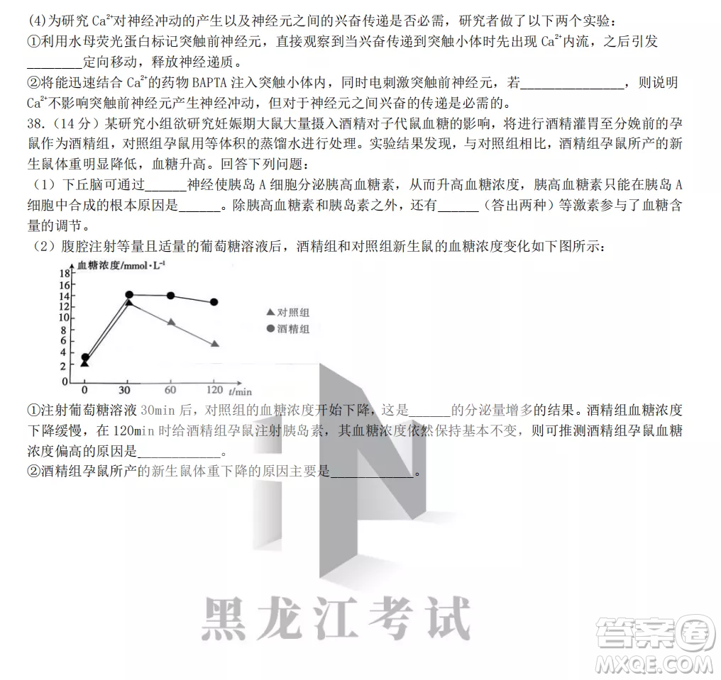 齊齊哈爾市實驗中學(xué)2022-2023學(xué)年度第一學(xué)期高二期中考試生物試題及答案