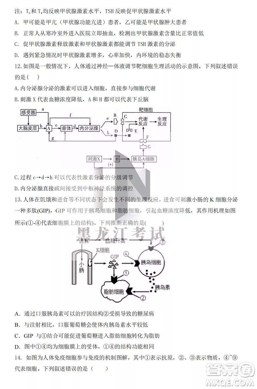 鶴崗一中2022-2023高二上學(xué)期生物11月期中考試試題答案