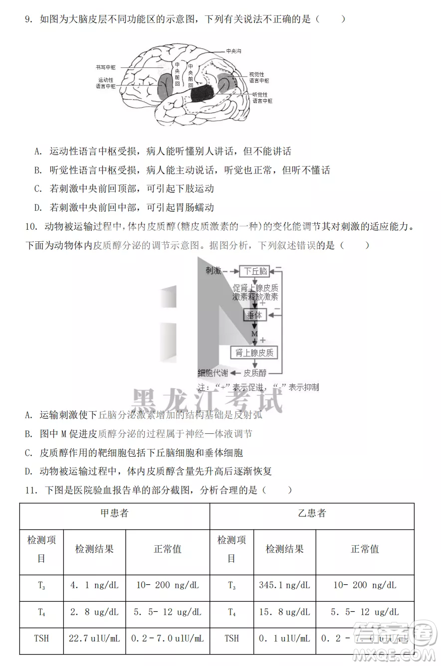 鶴崗一中2022-2023高二上學(xué)期生物11月期中考試試題答案