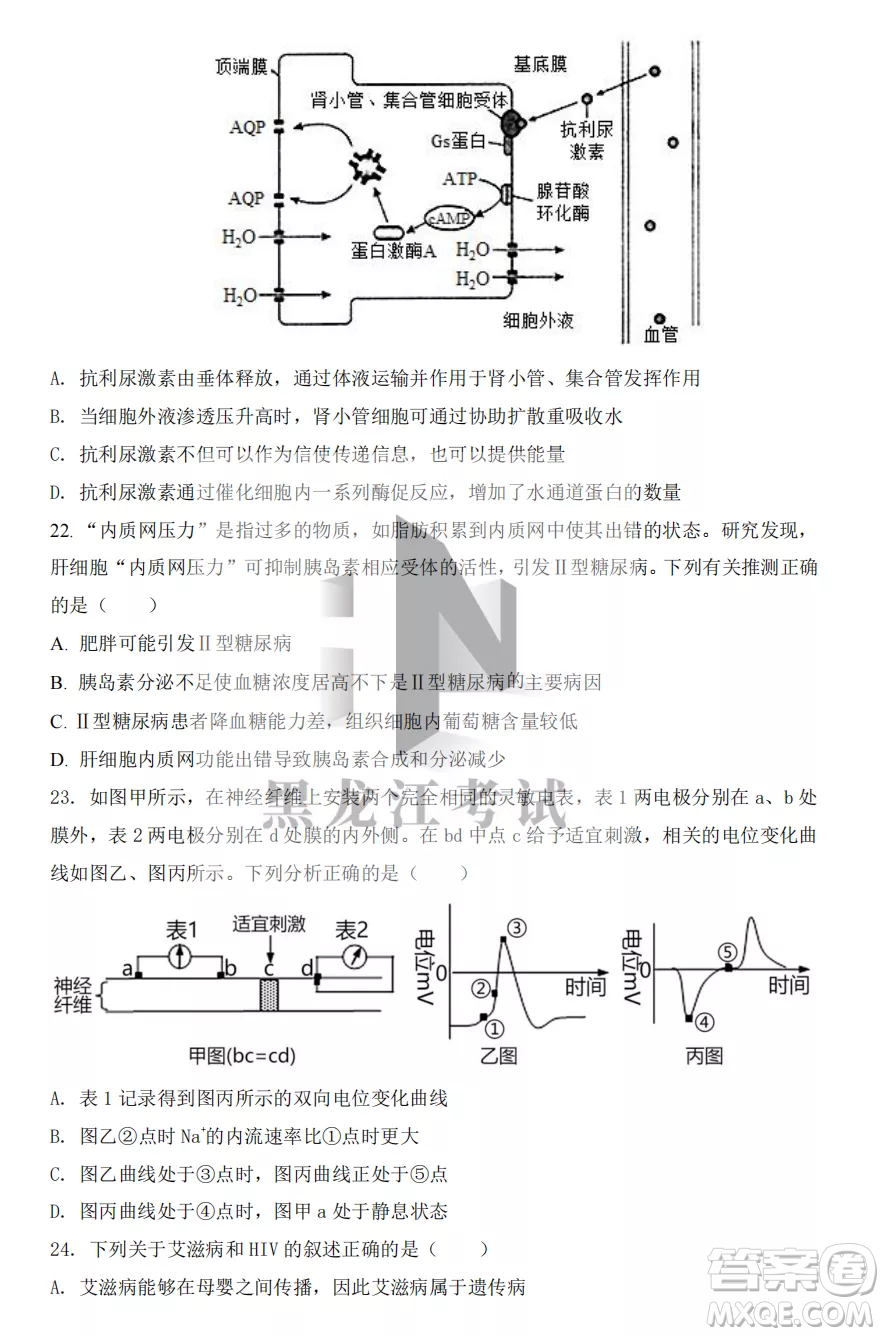 鶴崗一中2022-2023高二上學(xué)期生物11月期中考試試題答案