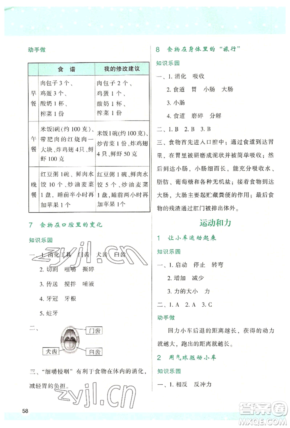 陜西人民教育出版社2022新課程學(xué)習(xí)與評價四年級上冊科學(xué)教科版參考答案