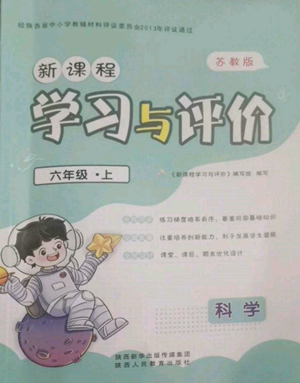 陜西人民教育出版社2022新課程學習與評價六年級上冊數(shù)學蘇教版參考答案