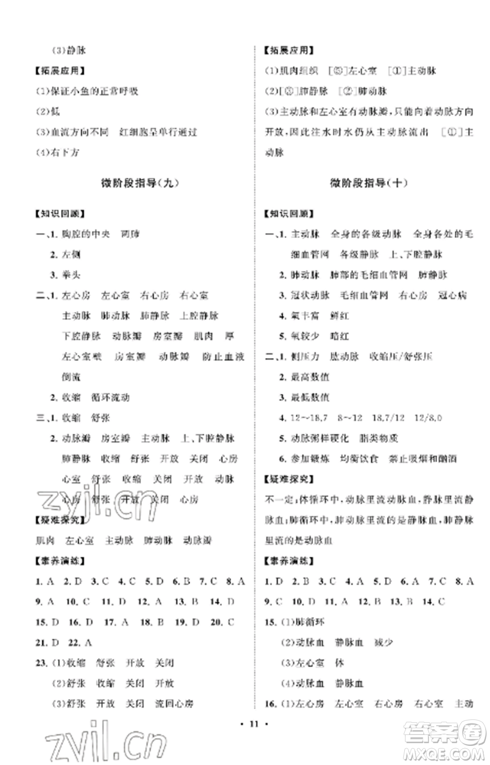 山東教育出版社2022初中同步練習(xí)冊分層卷七年級(jí)生物上冊魯科版五四制參考答案