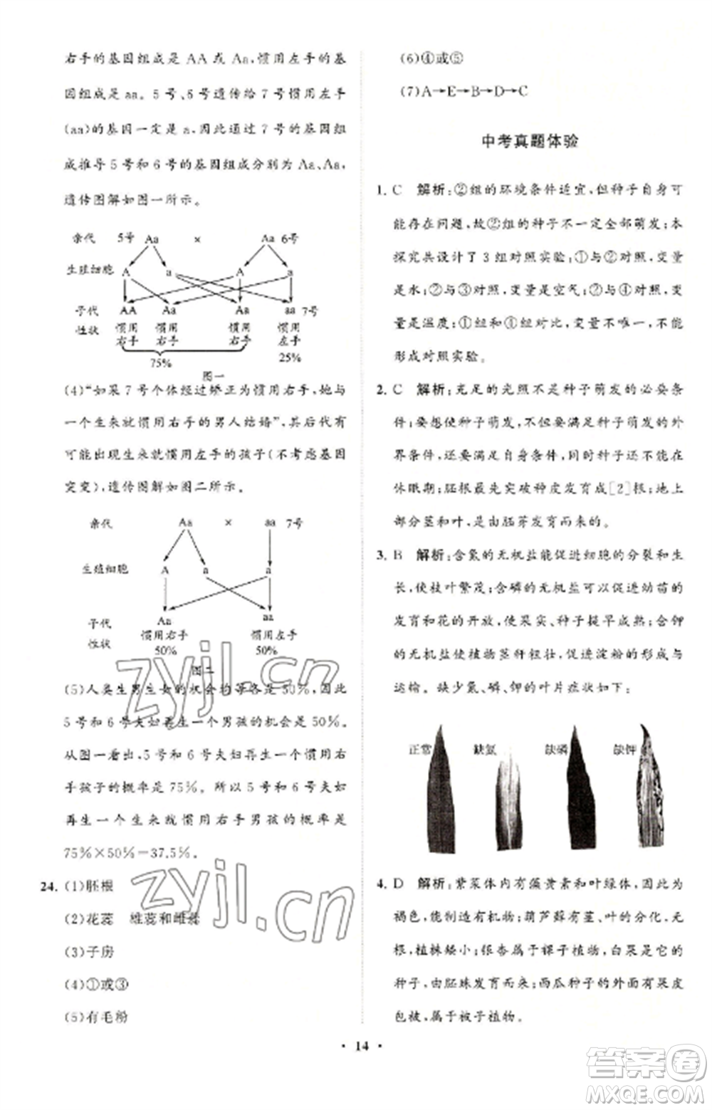 山東教育出版社2022初中同步練習(xí)冊(cè)分層卷八年級(jí)生物上冊(cè)濟(jì)南版參考答案