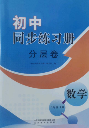 山東教育出版社2022初中同步練習(xí)冊(cè)分層卷八年級(jí)數(shù)學(xué)上冊(cè)青島版參考答案