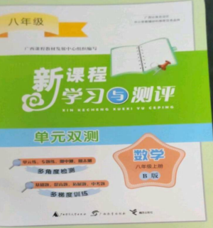 廣西師范大學(xué)出版社2022新課程學(xué)習(xí)與測(cè)評(píng)單元雙測(cè)八年級(jí)數(shù)學(xué)上冊(cè)湘教版B版參考答案