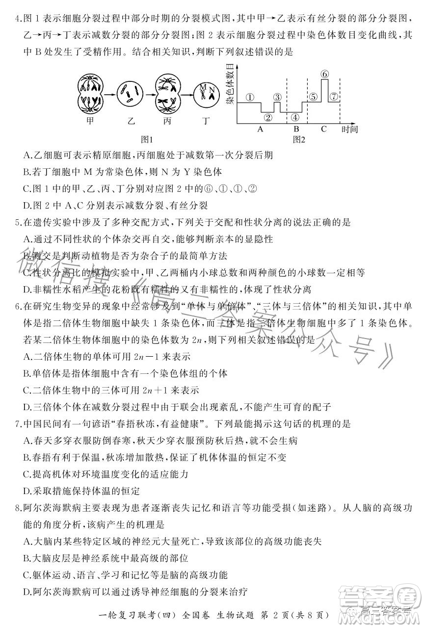 百師聯(lián)盟2022屆高三一輪復(fù)習(xí)聯(lián)考一全國卷生物試卷答案