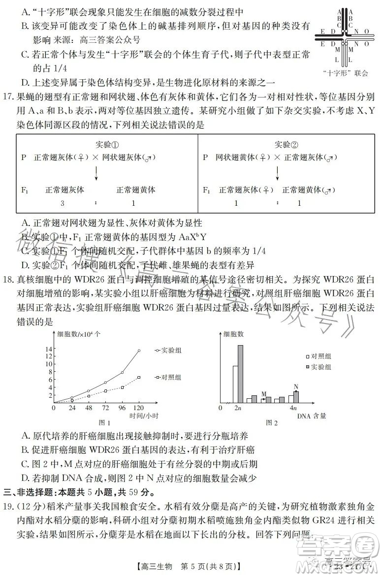 2023金太陽高三12月聯(lián)考23217C生物試卷答案