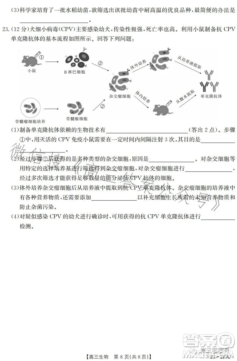 2023金太陽高三12月聯(lián)考23217C生物試卷答案