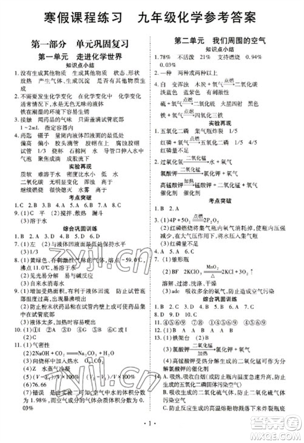 天津教育出版社2023寒假課程練習(xí)九年級(jí)化學(xué)人教版參考答案