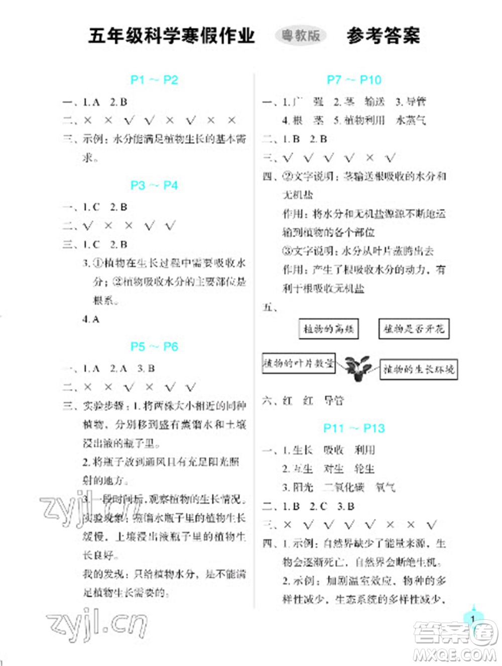 長江少年兒童出版社2023寒假作業(yè)五年級科學(xué)粵教版參考答案