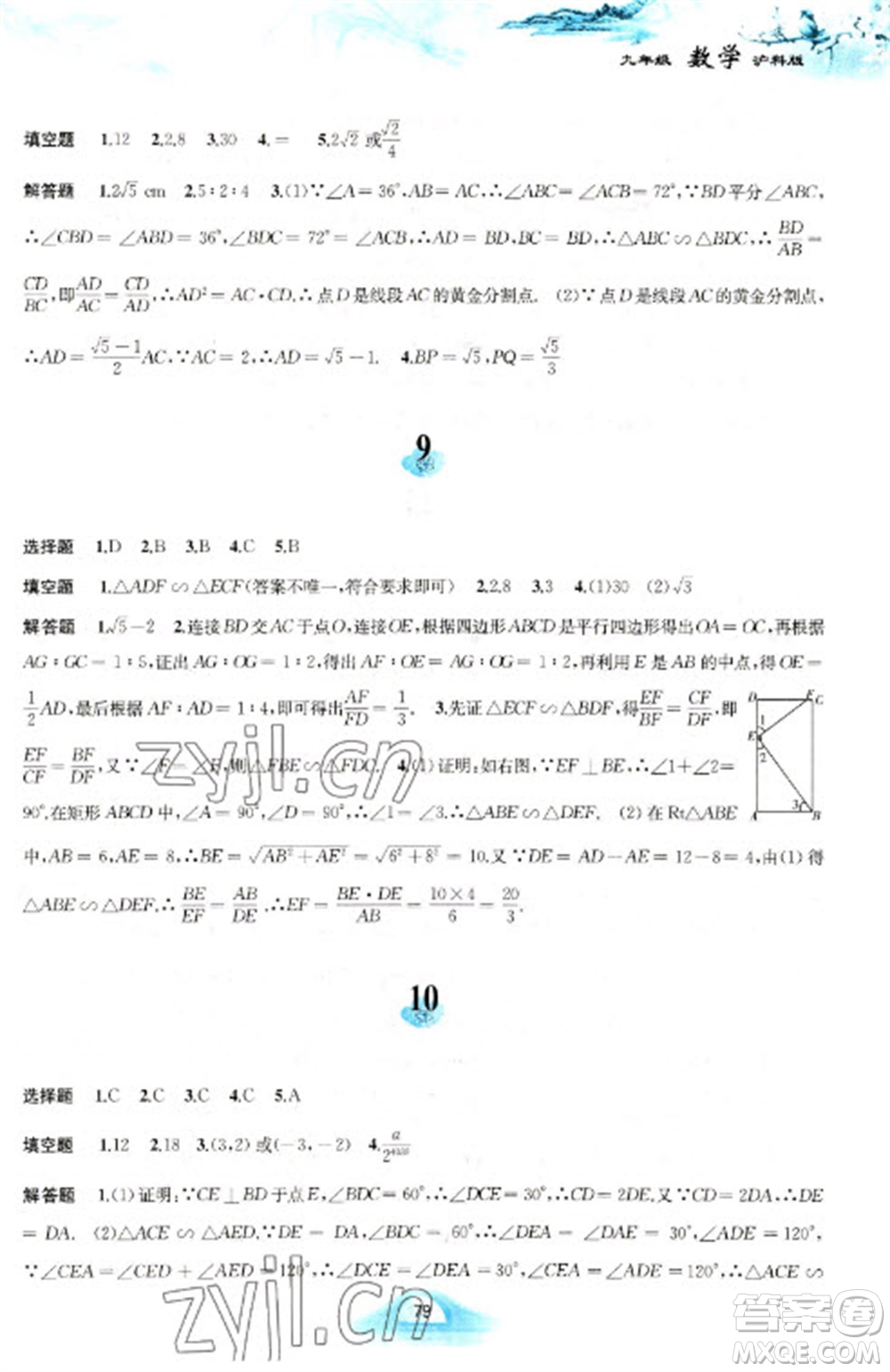 黃山書社2023寒假作業(yè)九年級數(shù)學(xué)滬科版參考答案