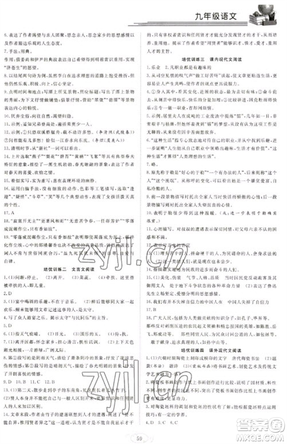 合肥工業(yè)大學(xué)出版社2023假期伴你行寒假?gòu)?fù)習(xí)計(jì)劃九年級(jí)語(yǔ)文通用版參考答案