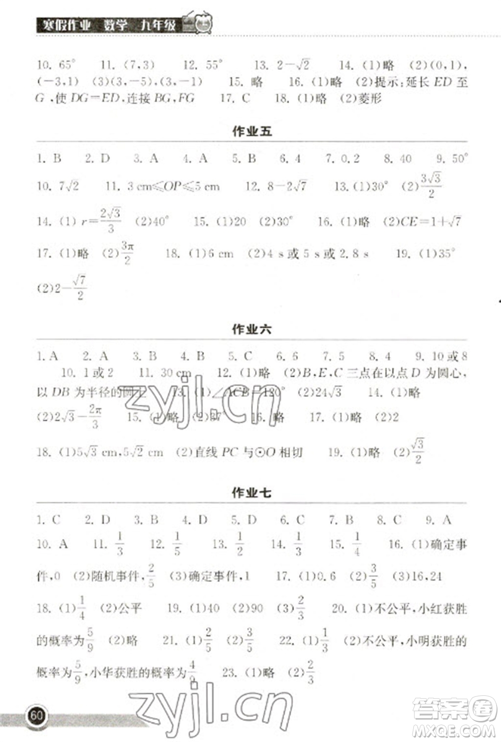 湖北教育出版社2023長(zhǎng)江作業(yè)本寒假作業(yè)九年級(jí)數(shù)學(xué)人教版參考答案