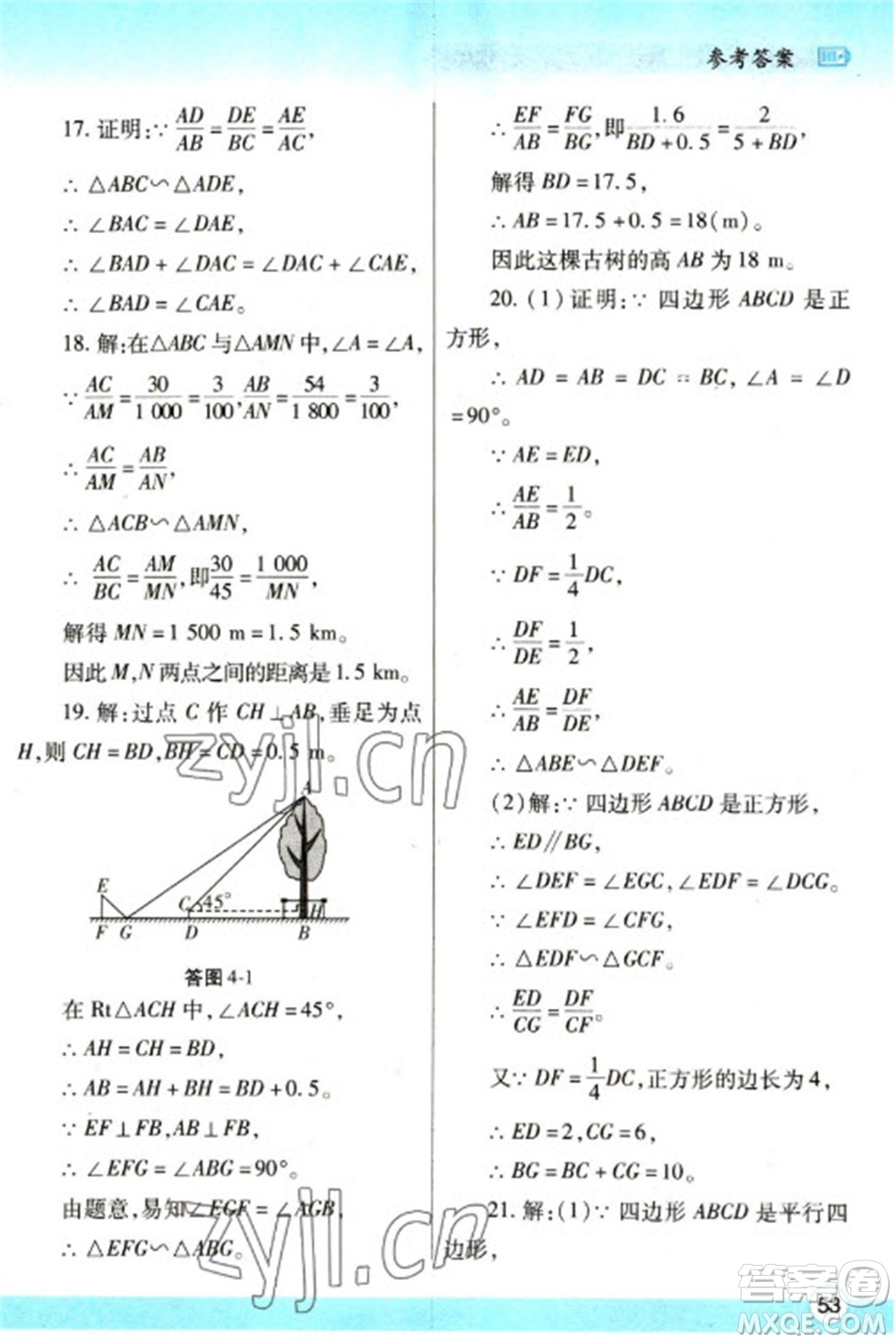 陜西師范大學出版總社2023寒假作業(yè)與生活九年級數(shù)學北師大版參考答案