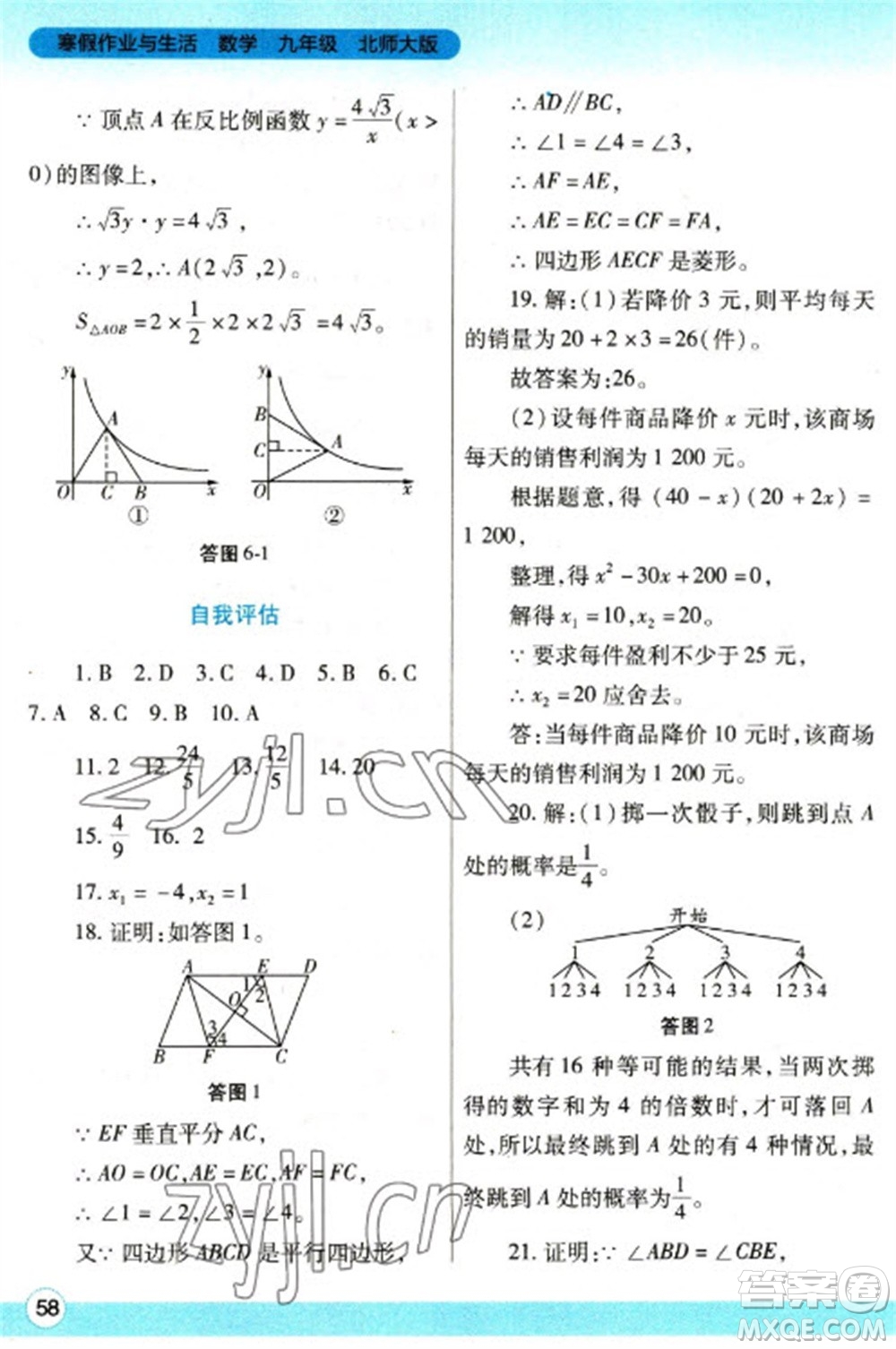 陜西師范大學出版總社2023寒假作業(yè)與生活九年級數(shù)學北師大版參考答案