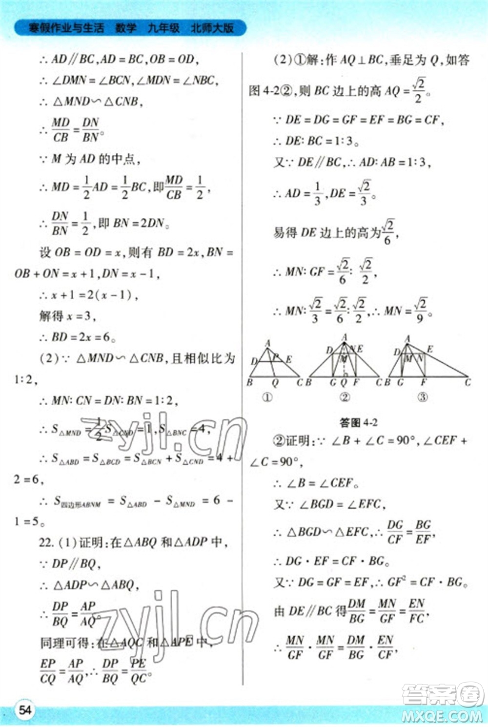 陜西師范大學出版總社2023寒假作業(yè)與生活九年級數(shù)學北師大版參考答案