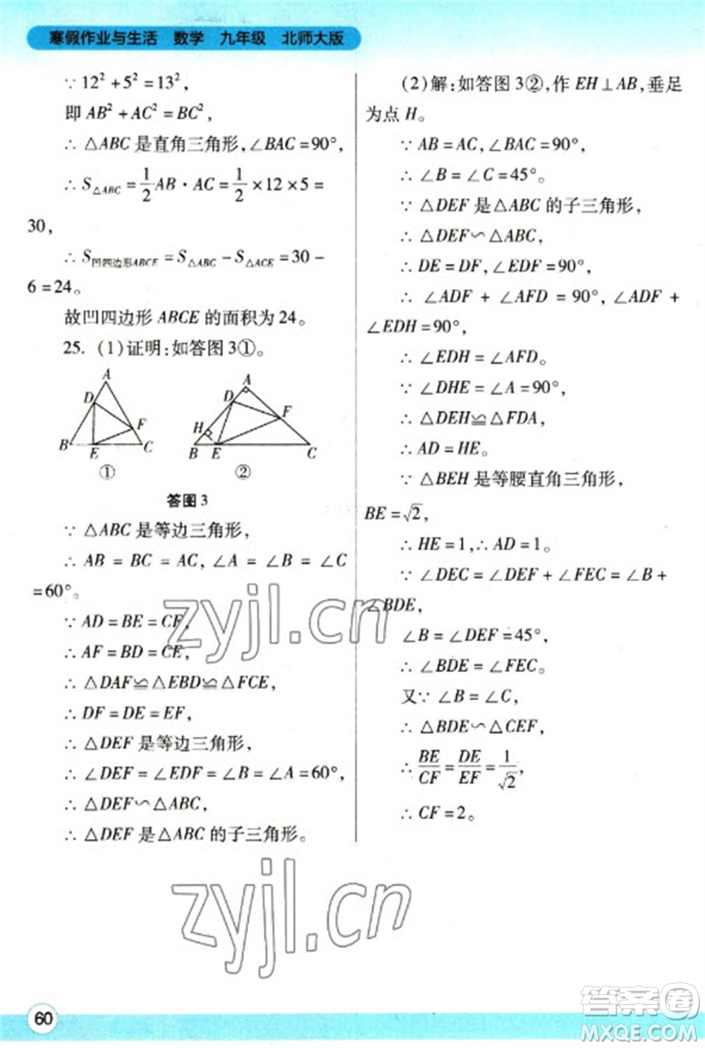 陜西師范大學出版總社2023寒假作業(yè)與生活九年級數(shù)學北師大版參考答案