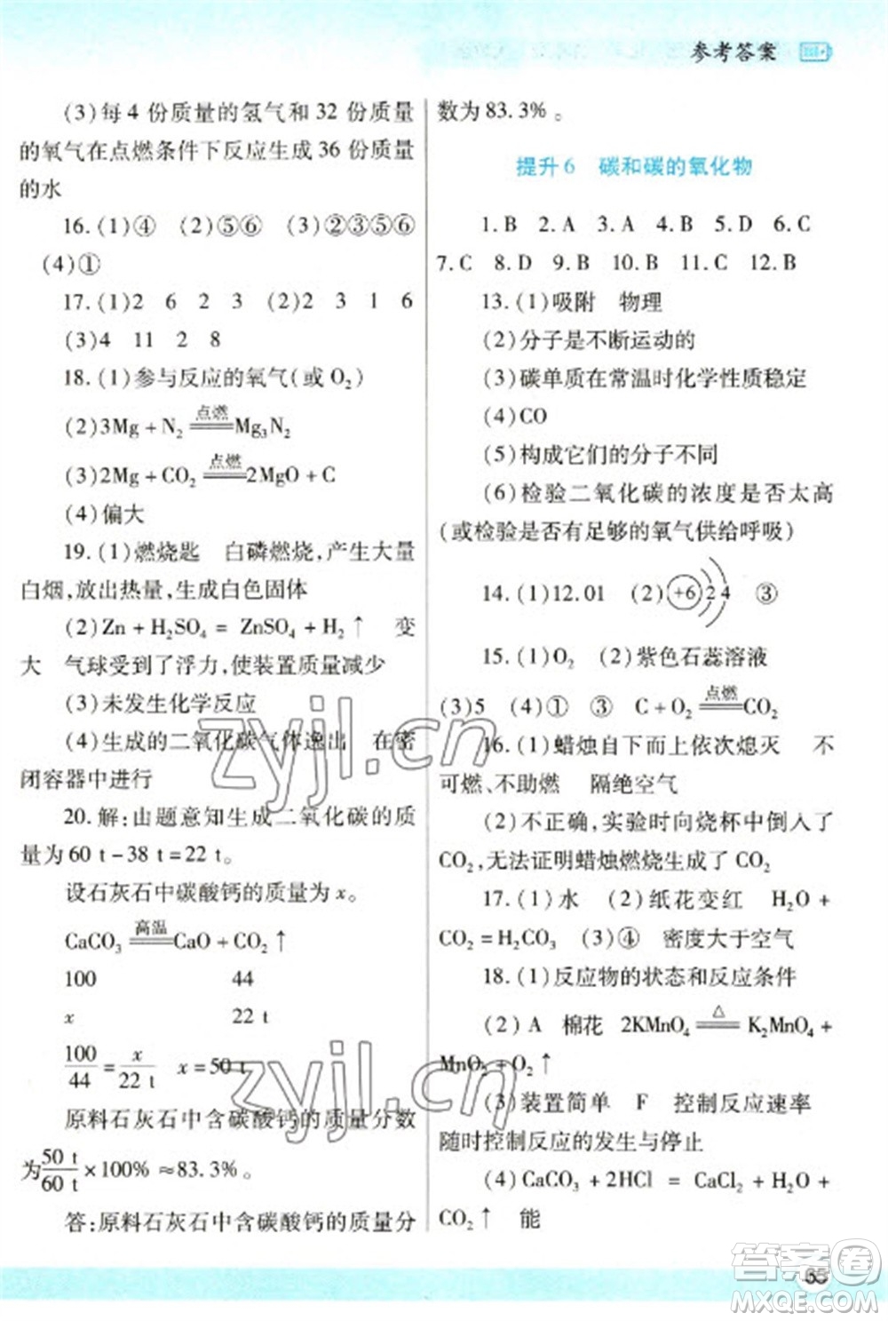 陜西師范大學(xué)出版總社2023寒假作業(yè)與生活九年級(jí)化學(xué)人教版參考答案