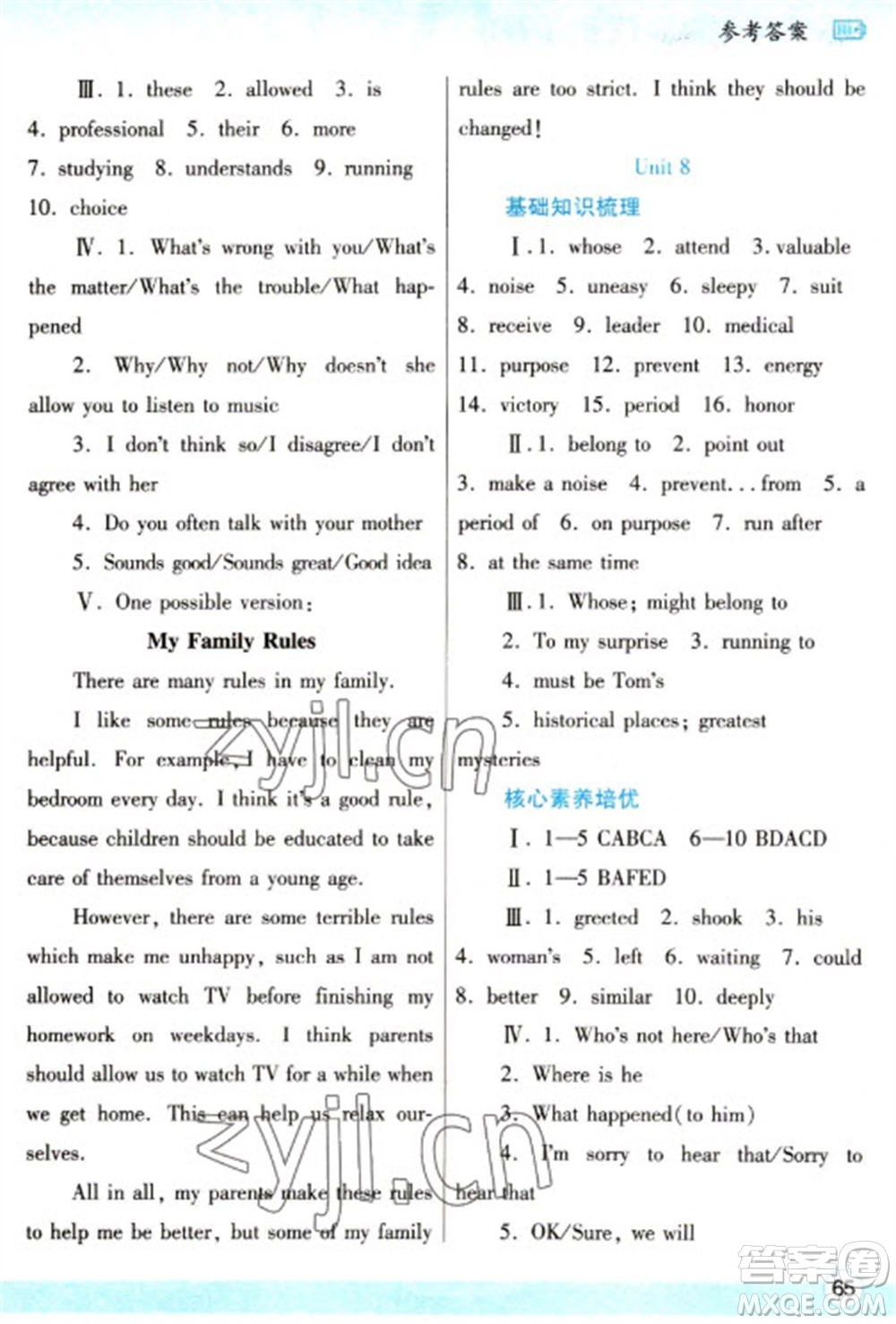 陜西師范大學(xué)出版總社2023寒假作業(yè)與生活九年級(jí)英語(yǔ)人教版參考答案