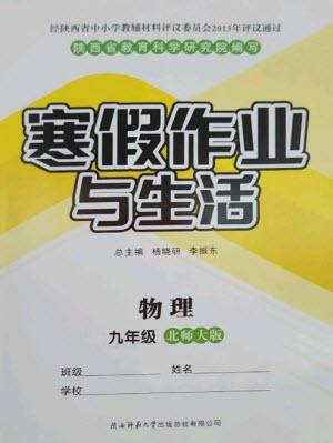 陜西師范大學(xué)出版總社2023寒假作業(yè)與生活九年級物理北師大版參考答案