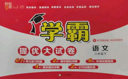 寧夏人民教育出版社2023學霸提優(yōu)大試卷六年級下冊語文人教版參考答案